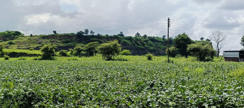  Agricultural Land 5600 Sq.ft. for Sale in Paliya, Indore