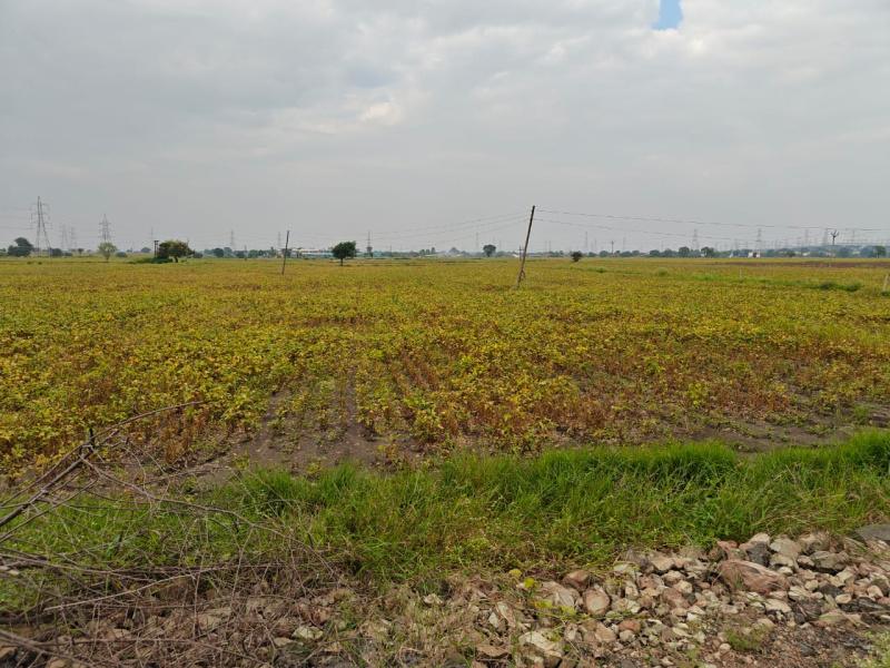  5 Bigha Agricultural/Farm Land for Sale in Khategaon, Dewas