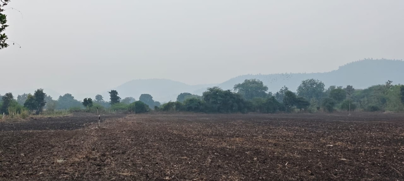  3000 Sq.ft. Agricultural/Farm Land for Sale in Super Corridor, Indore