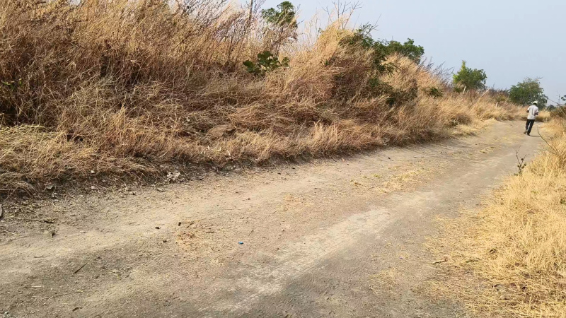  1 Acre Agricultural/Farm Land for Sale in Mailardevarampally, Vikarabad