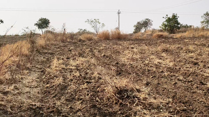  1 Acre Agricultural/Farm Land for Sale in Mailardevarampally, Vikarabad