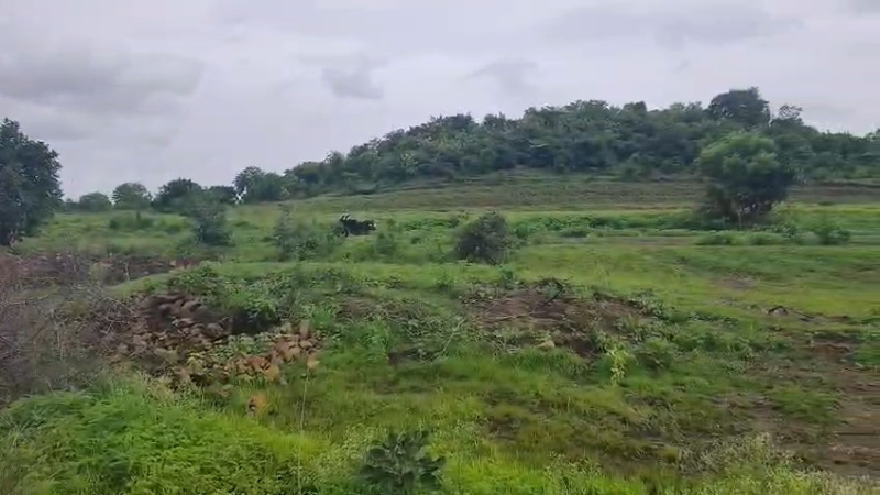 Mailardevarampally, Vikarabad photo 3