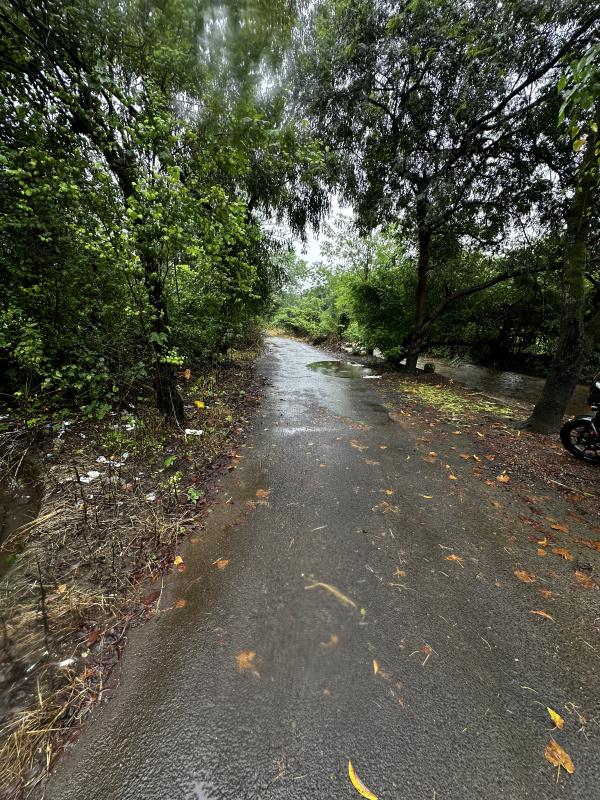  40 Guntha Agricultural/Farm Land for Sale in Pen, Raigad