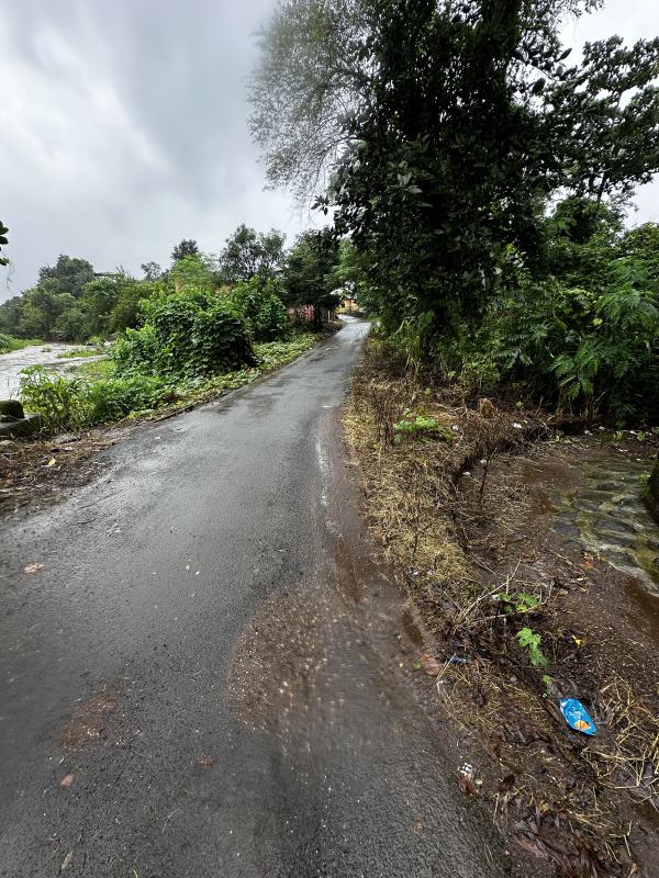  40 Guntha Agricultural/Farm Land for Sale in Pen, Raigad