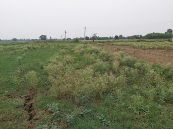  Agricultural Land for Sale in Fatehpur, Patna