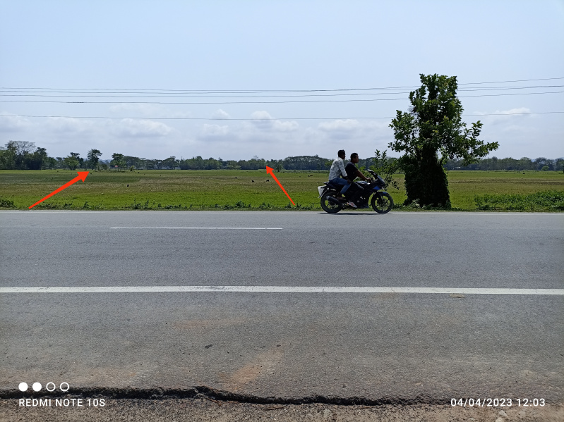 Agricultural Land 50 Bigha for Sale in Baihata Chariali, Kamrup
