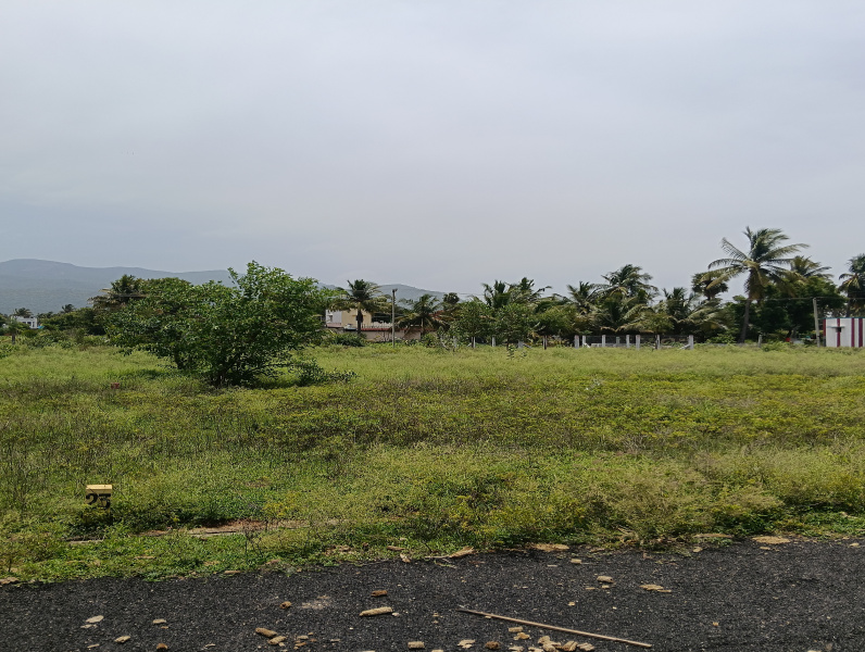  Residential Plot 1200 Sq.ft. for Sale in Attur, Salem