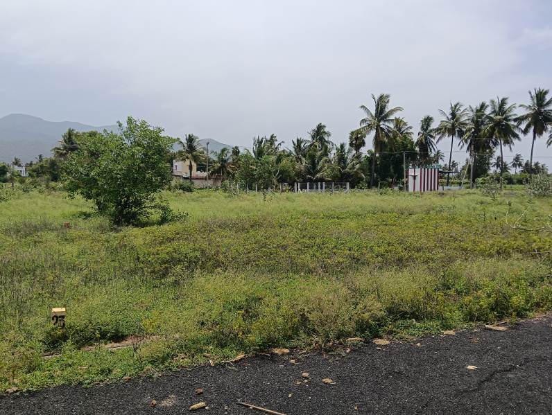  Residential Plot 1200 Sq.ft. for Sale in Attur, Salem