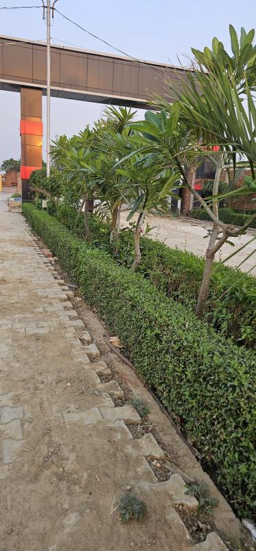  Residential Plot 1000 Sq.ft. for Sale in Mirzamurad, Varanasi