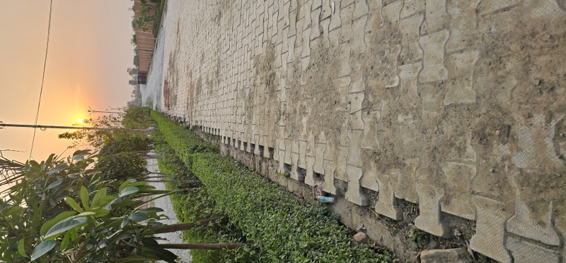  Residential Plot 1000 Sq.ft. for Sale in Mirzamurad, Varanasi