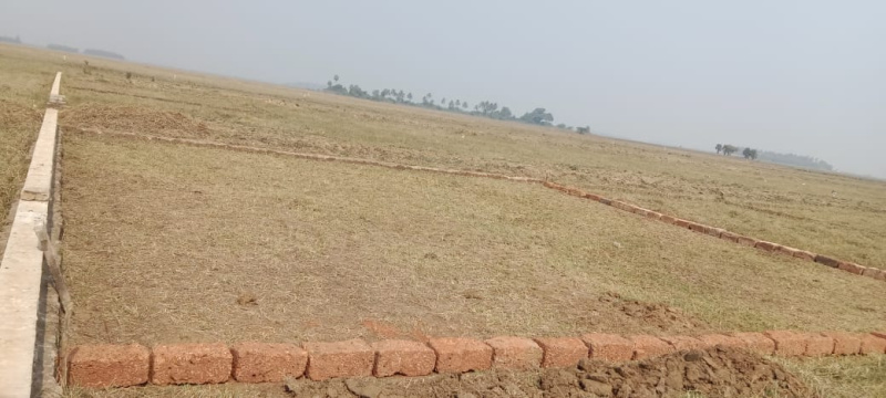  Residential Plot 2500 Sq.ft. for Sale in Samangara, Puri