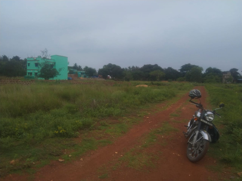  Residential Plot 5360 Sq.ft. for Sale in Puri-Bramhagiri Road