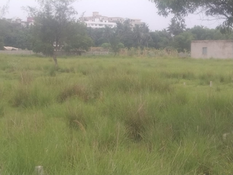  Residential Plot 5360 Sq.ft. for Sale in Puri-Bramhagiri Road