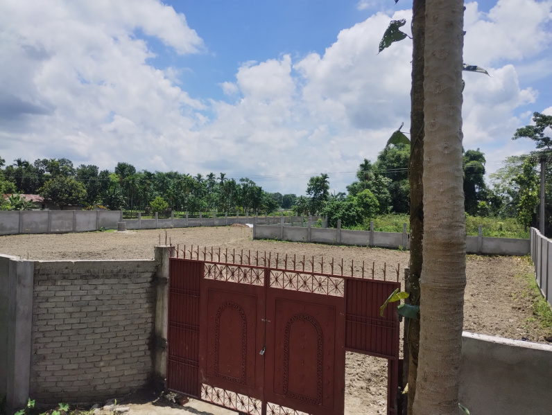  Agricultural Land 3 Bigha for Sale in Lataguri, Jalpaiguri