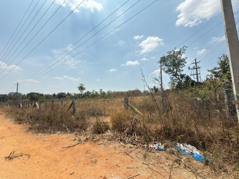  Residential Plot 18 Acre for Sale in Hejjala, Bangalore