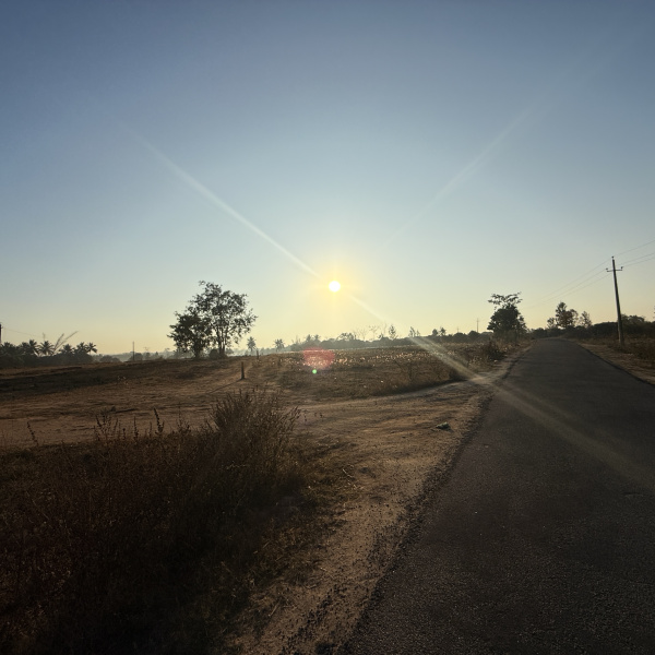  4 Acre Agricultural/Farm Land for Sale in Nagavalli, Tumkur