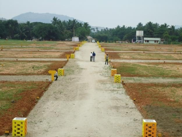  Residential Plot 5 Cent for Sale in Ananthan Nagar, Ammandivilai, Kanyakumari