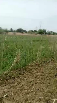  Agricultural Land for Sale in BERCHA ROAD, Shajapur