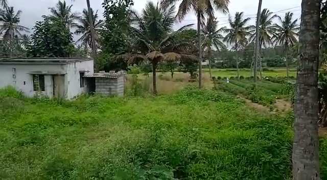 Agricultural Land 1089 Sq.ft. for Sale in