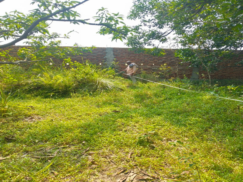  Residential Plot 1000 Sq.ft. for Sale in Basudevpur, Darbhanga