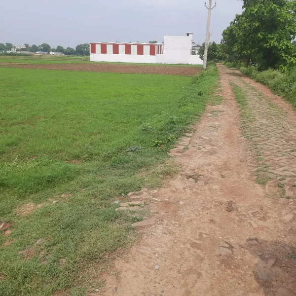  Residential Plot 1000 Sq.ft. for Sale in Basudevpur, Darbhanga