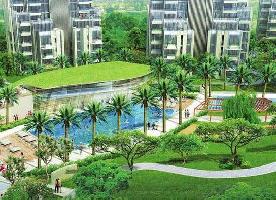2 BHK Flat for Sale in Sector 65 Gurgaon