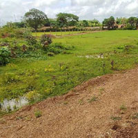  Commercial Land for Sale in Bhuban, Dhenkanal
