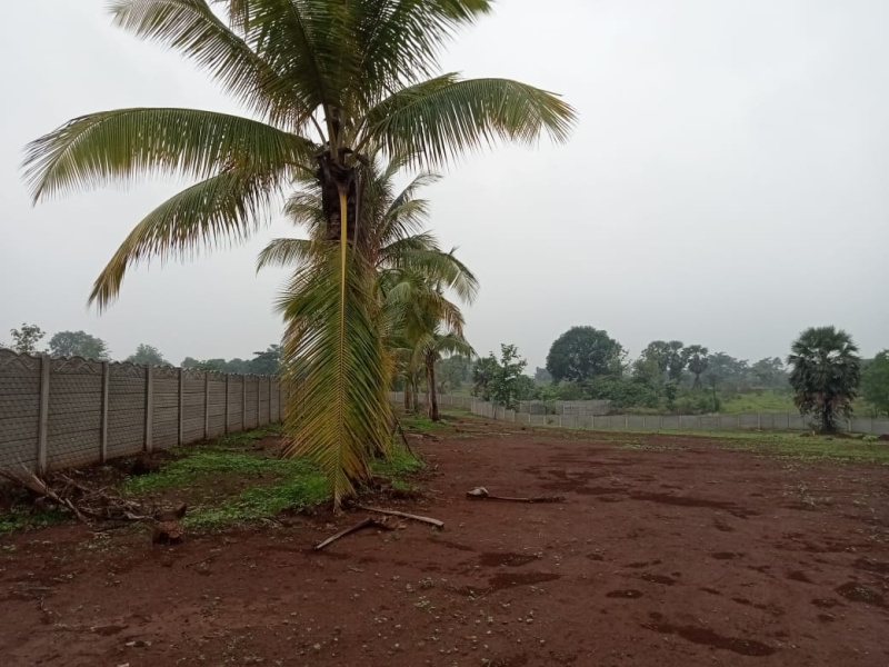  Residential Plot 11000 Sq.ft. for Sale in Badlapur, Thane