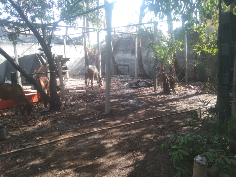  3000 Sq.ft. Factory for Rent in Mangrol, Surat