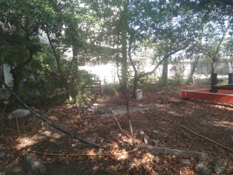  3000 Sq.ft. Factory for Rent in Mangrol, Surat