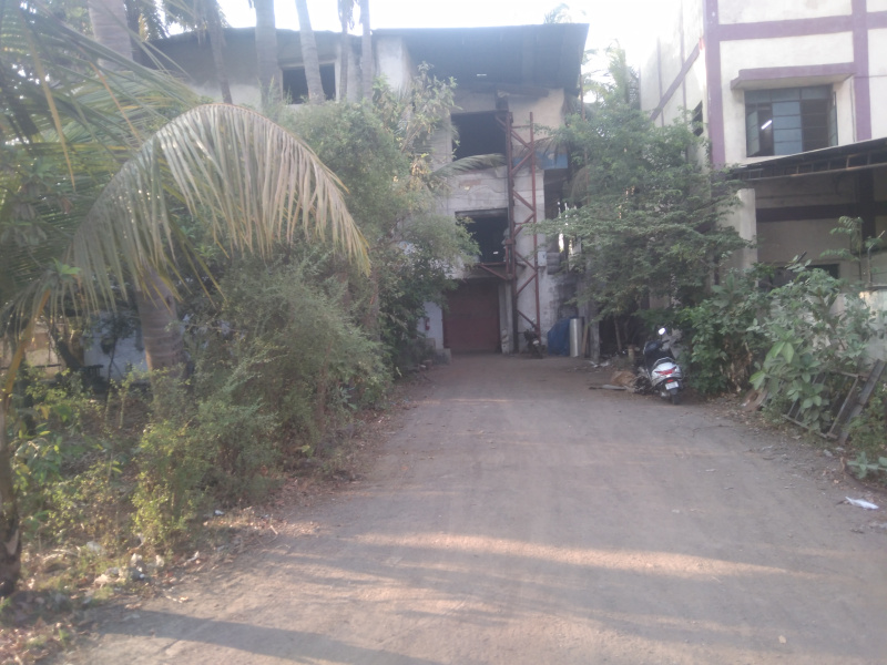 Mangrol, Surat photo 2
