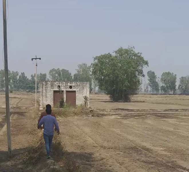 Agricultural Land 8 Acre for Sale in Mundlana, Sonipat