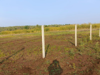  Agricultural Land for Sale in Shadnagar, Hyderabad