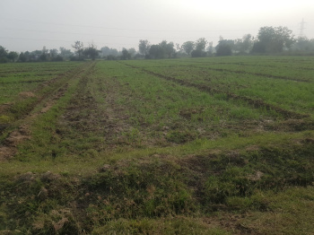  Agricultural Land for Sale in Sojitra Road, Anand