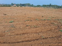  Industrial Land for Sale in Nandesari GIDC, Vadodara