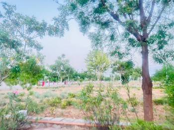  Residential Plot for Sale in Sanganer, Jaipur