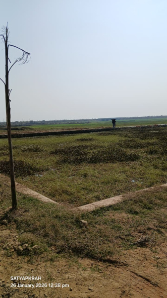  1000 Sq.ft. Residential Plot for Sale in Jangal Kauria, Gorakhpur