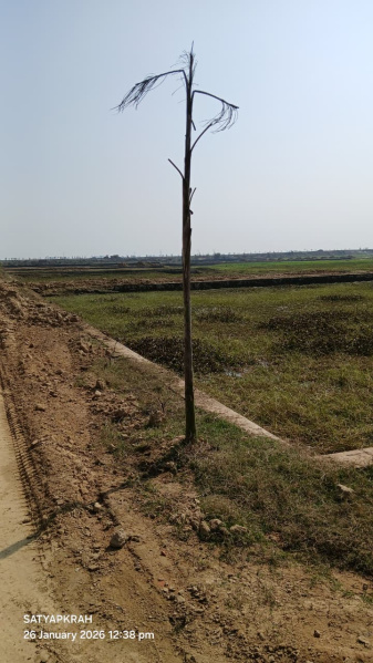  1500 Sq.ft. Residential Plot for Sale in Kauriya Jungle Village, Gorakhpur