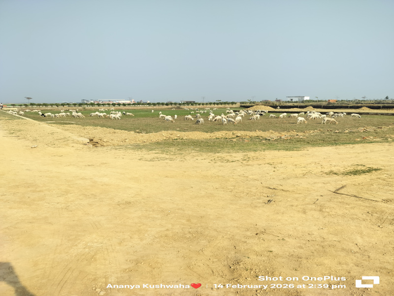  1000 Sq.ft. Commercial Land for Sale in Kaudia Jungle, Gorakhpur