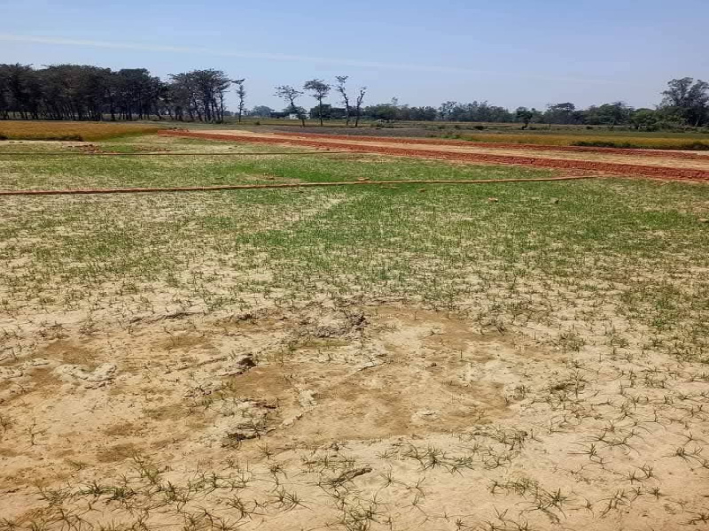  1000 Sq.ft. Residential Plot for Sale in Sukrauli, Kushinagar