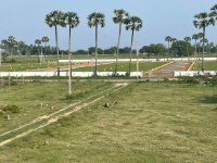  Residential Plot for Sale in Pedana, Krishna