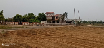  Residential Plot for Sale in Zari, Nagpur
