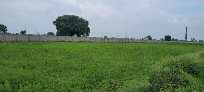  Residential Plot 200 Sq. Yards for Sale in Yamuna Expressway, Greater Noida