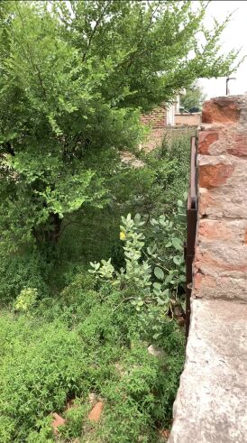  Residential Plot 3424 Sq.ft. for Sale in Sujangarh, Churu