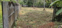  Residential Plot for Sale in Irinjalakuda, Thrissur
