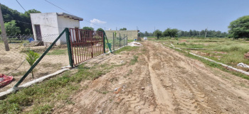  Residential Plot for Sale in Mitraon, Najafgarh, Delhi