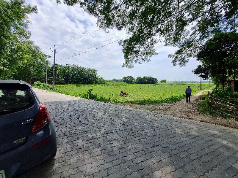 Farm Land for Sale in Baihata Chariali, Kamrup (REI1070504)