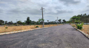  Residential Plot for Sale in Balpurwa, Shahdol