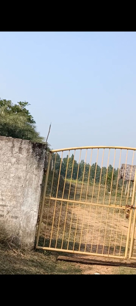  Agricultural Land 115 Guntha for Sale in Handapa, Angul