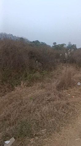  Commercial Land 14 Guntha for Sale in Jarasingha, Angul